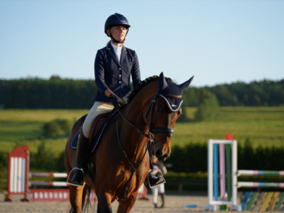 1863cc7a2527dd6e69f3edd2b9362a30