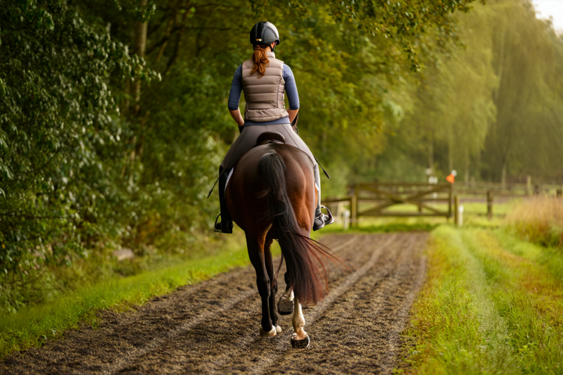 19b4038d62ca43ff69c7e2a1b2b686dc