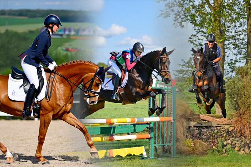 59002dd78901816e9350cf43d2f0fc7b