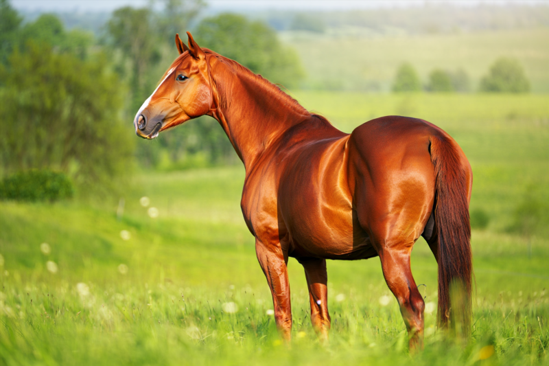 65ce117cffcc93f6c7de24b259635c5b