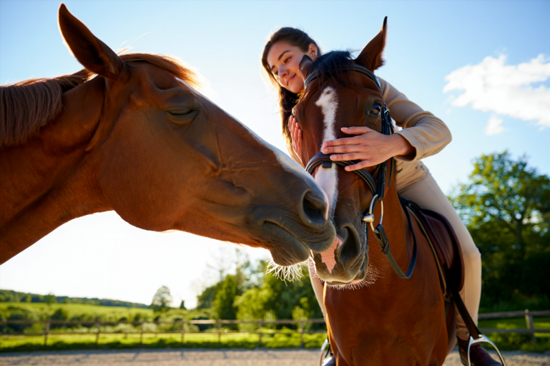 75fdb34684086964d45afea96cc06283