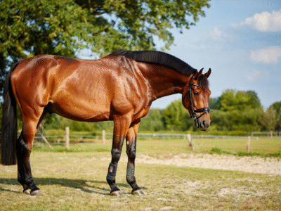 7ce53ad25b14119d37a69e8b26c3bab6