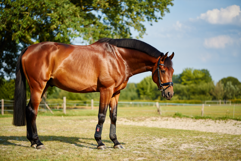 7ce53ad25b14119d37a69e8b26c3bab6