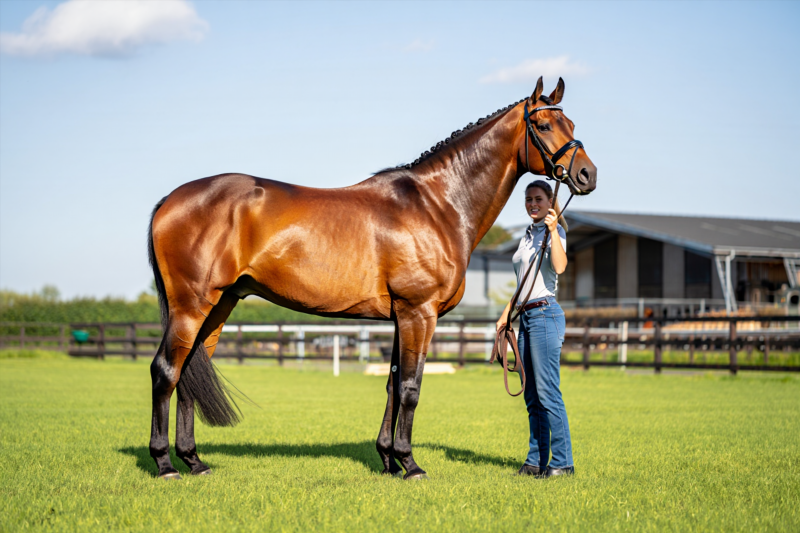 85dd0cf2164697d113d65325503fb53c