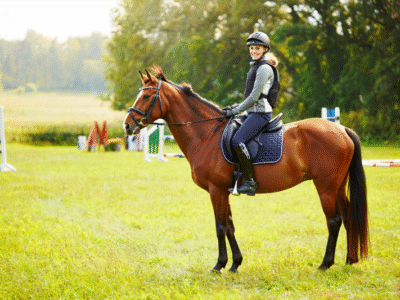 8ceb891f3ca70086d8d8b52fa596472c