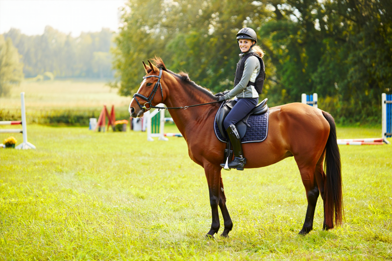 8ceb891f3ca70086d8d8b52fa596472c