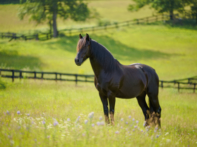 8fb22558d0f0c785ea78d9d0d02b0805