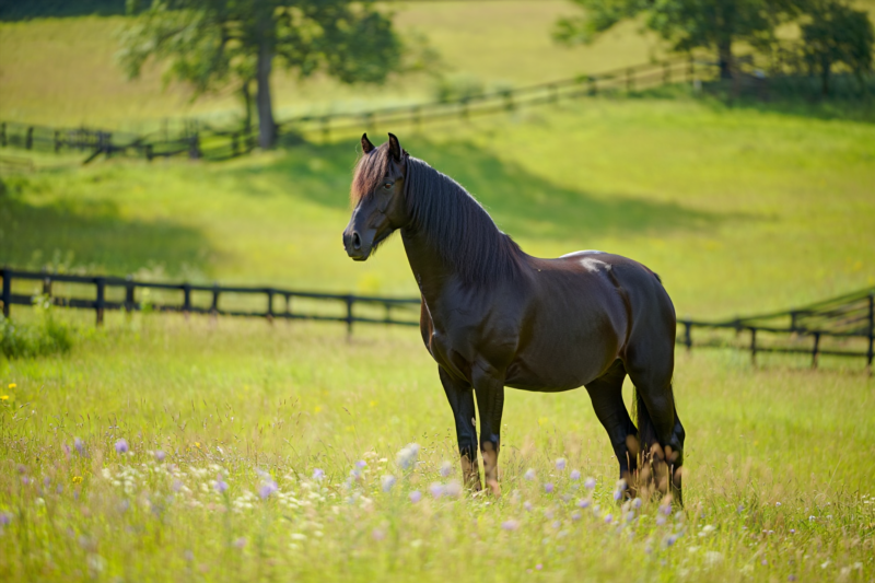 8fb22558d0f0c785ea78d9d0d02b0805