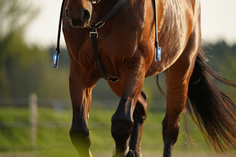 b76cf575a812bacad47d8876f3e398c2