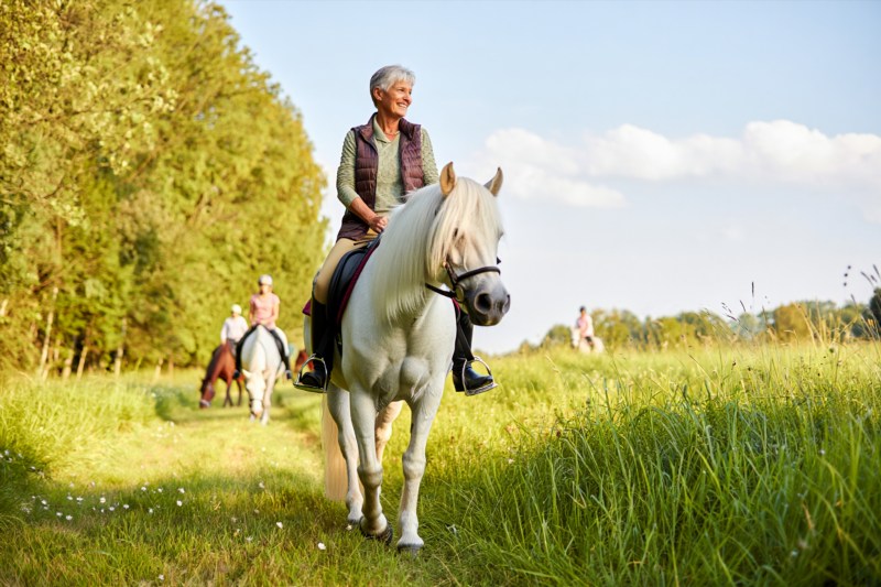 d0c8e92d636161eaa44b8aff56ecebec