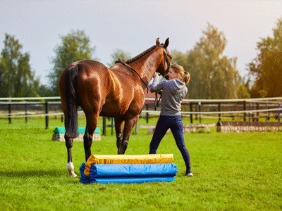 d7cb6ad62a873ead975c63235f2cd821