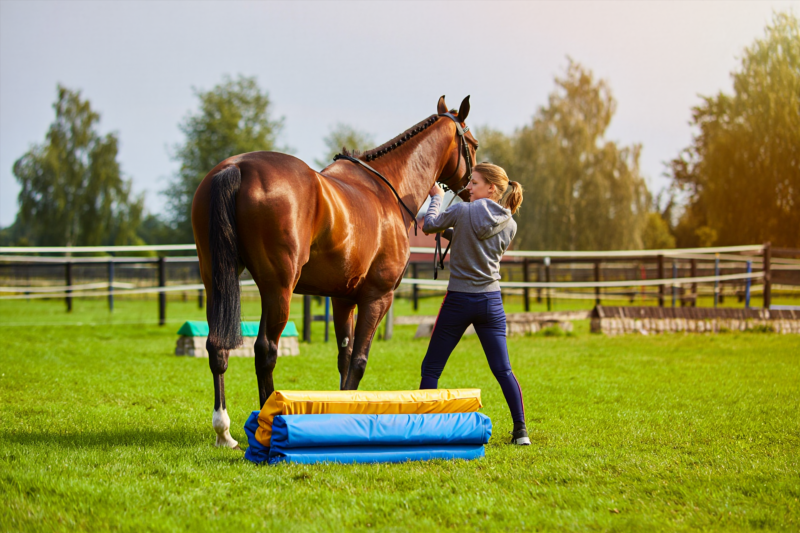 d7cb6ad62a873ead975c63235f2cd821