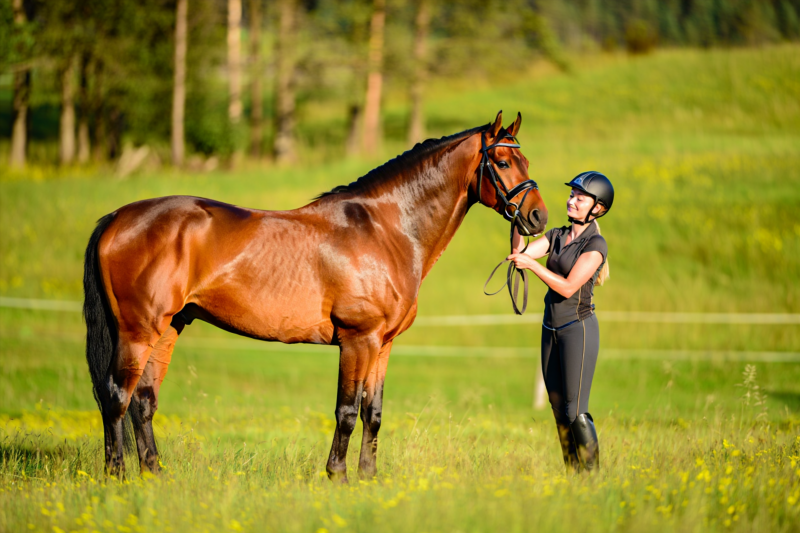 e5ed402d1c2a31af4154573f9a7c2306